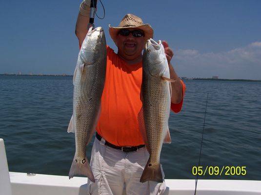 Tampa fishing redfish