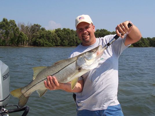 Snook Fishing Charters, Tampa, St Pete