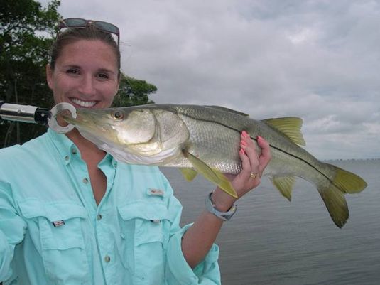 snook fishing Tampa