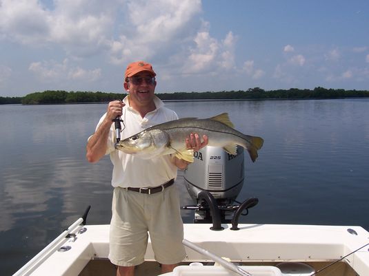 Tampa snook fishing
