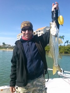 Snook fishing Tampa Bay