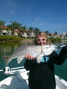 Fishing Tampa Bay redfish