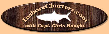 Fishing Charters Tampa Florida